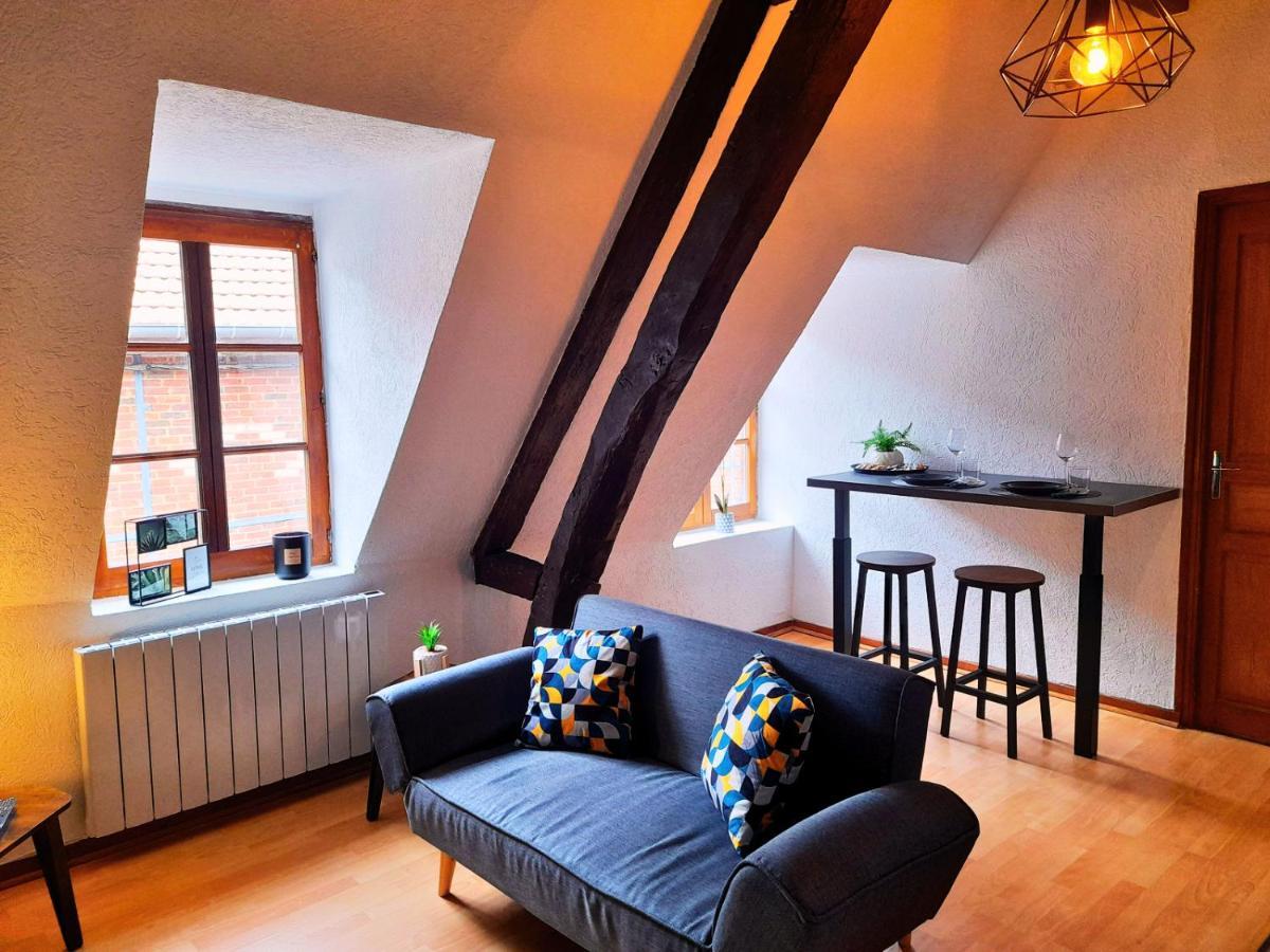 L'Authentique - Appartement Cosy En Hyper Centre ボーヴェ エクステリア 写真